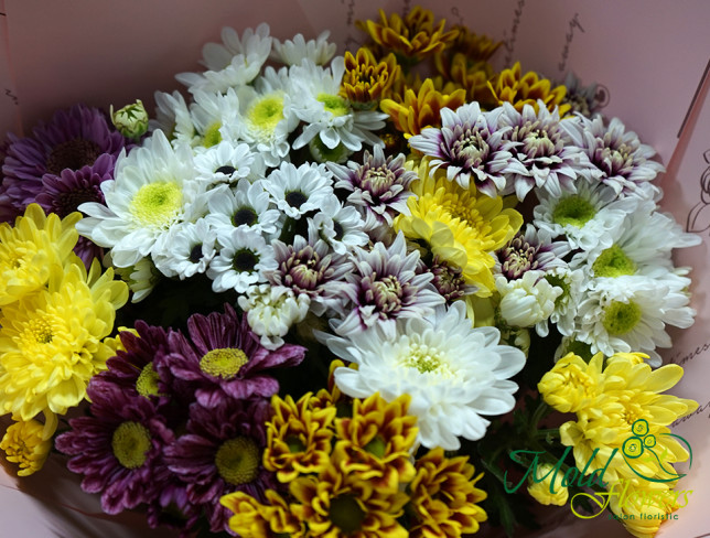 Complimentary Bouquet with Colorful Chrysanthemums photo